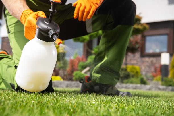 Best Affordable Pest Control Services  in Alma, AR