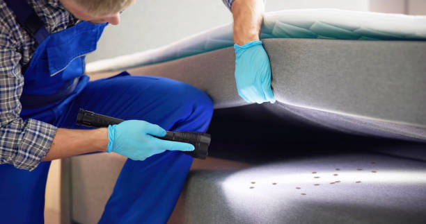 Best Ant Control Services  in Alma, AR