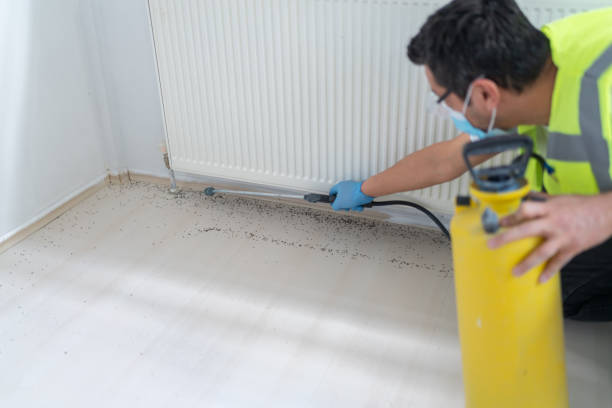 Pest Prevention Services in Alma, AR